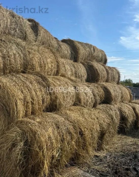 Продаётся дом с большим участком