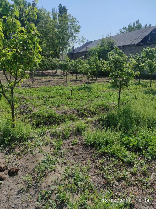 Ер сотилади 9 сотх