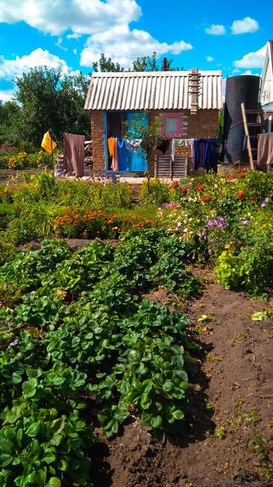 Продаётся дача, пос. Новенький, кооператив "Берёзка"