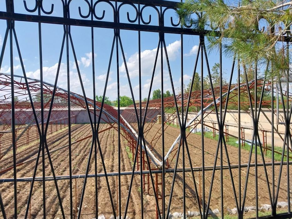 Назарбек туркистонда 30 сот.