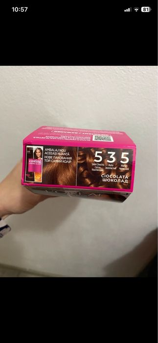 Vopsea par ciocolata