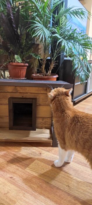 Къщички за домашни любимци