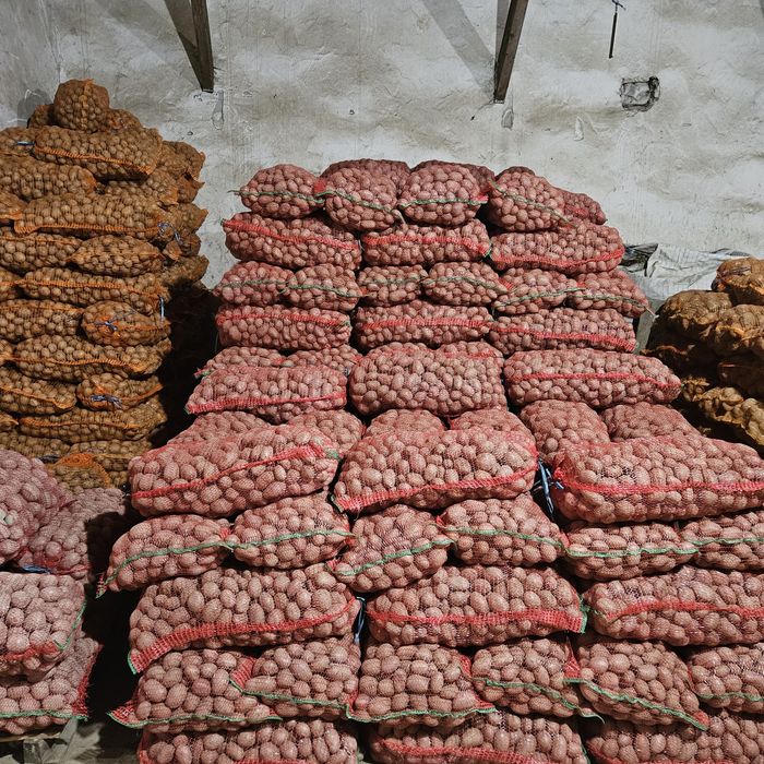 Vând Cartofi de samânța