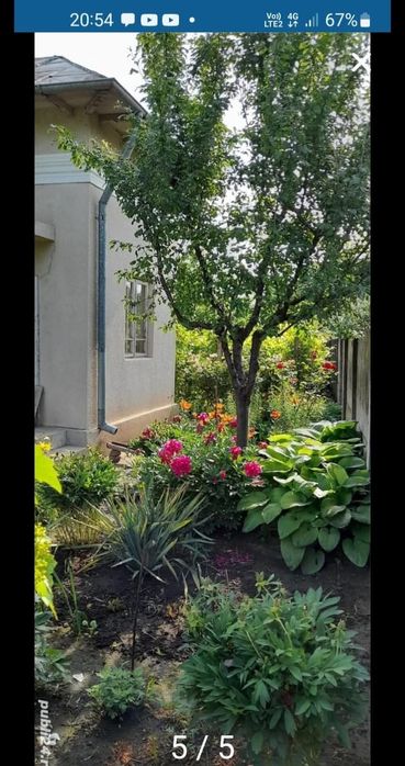 Vând casa în orașul corabia olt