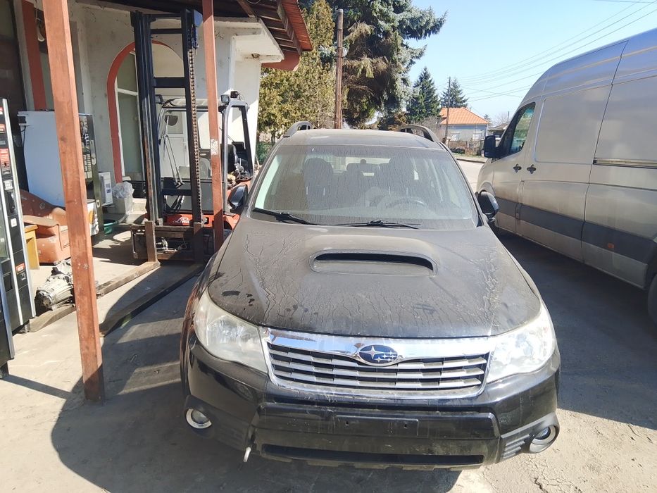 Subaru forester diesel boxer