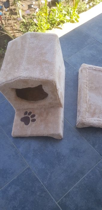 Casuta pisici de la zoofari