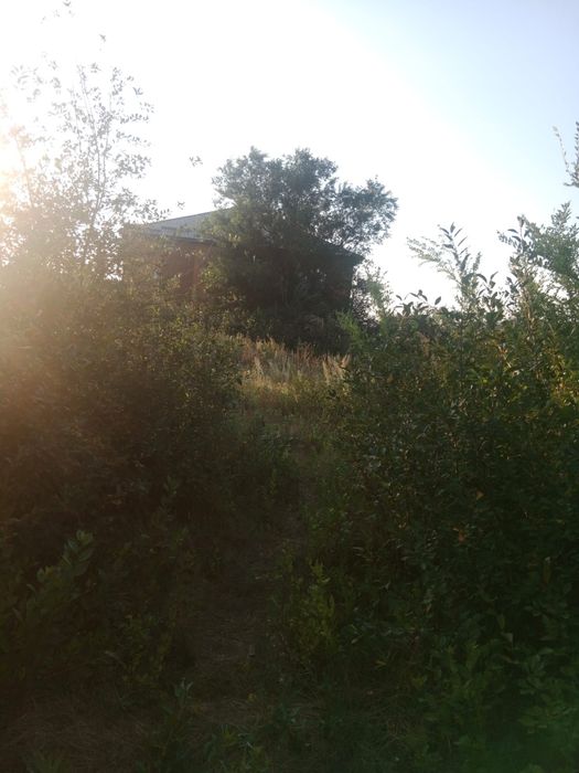 Сдам в аренду дачу на долгии срок