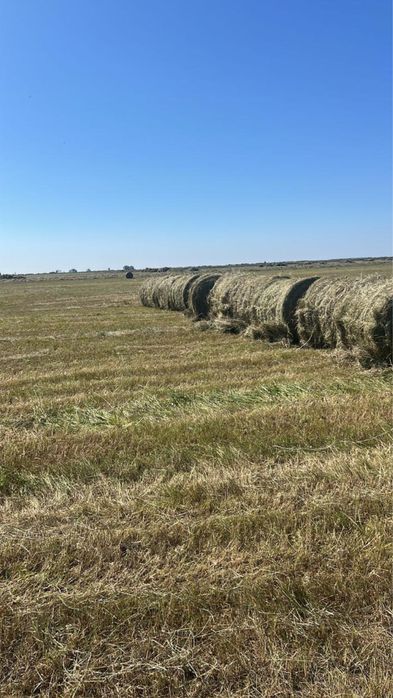 Продам рулоны сено