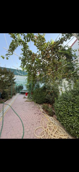 Сдается дом 6 соток