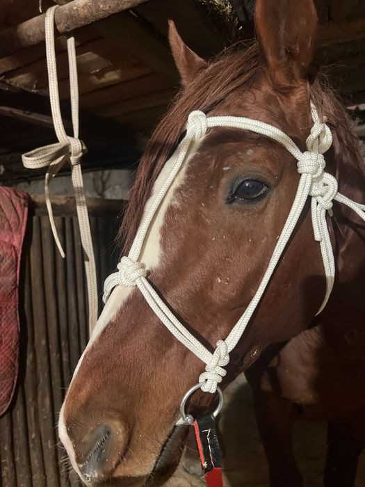 Зангар жуген кол онер