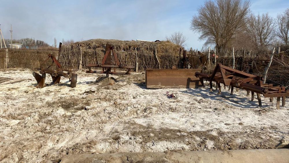 Күміс ормандағы жалаңаш суреттер