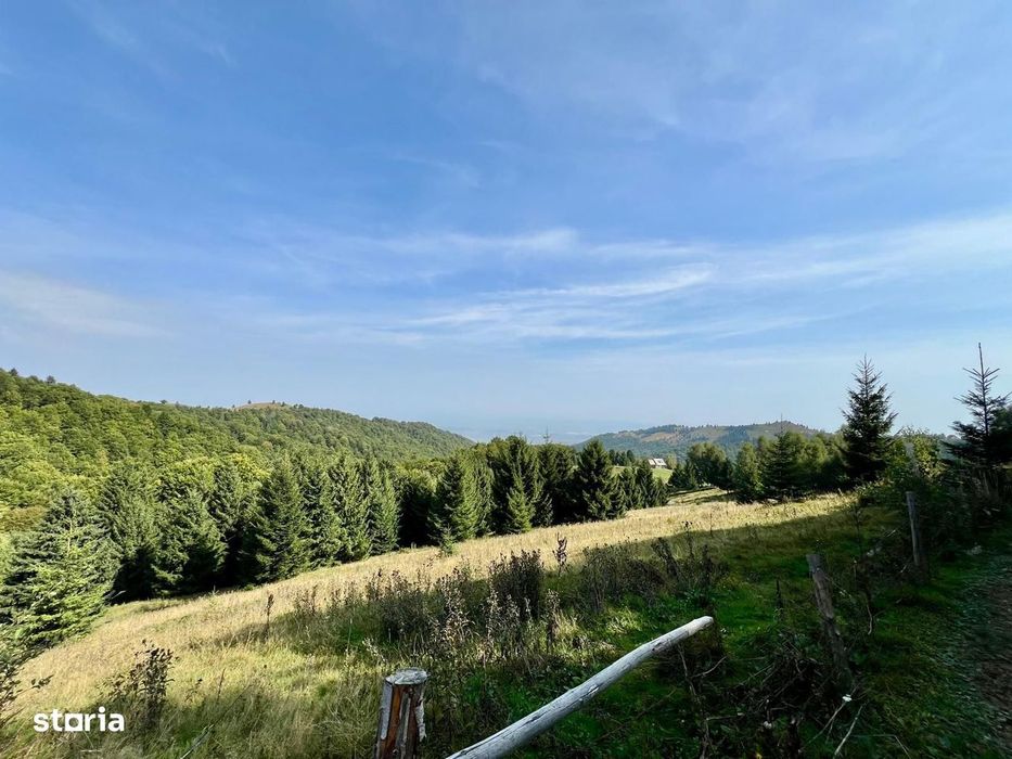 Teren de vanzare - 11200 mp, priveliste frumoasa - Castelnor/Paltinis