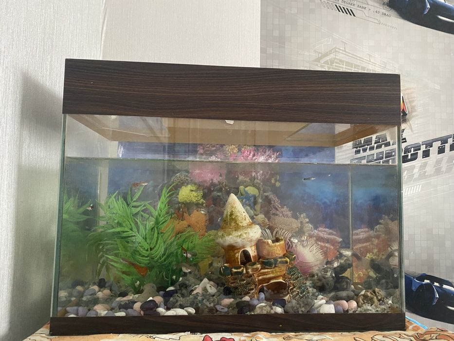 Аквариум для рыб