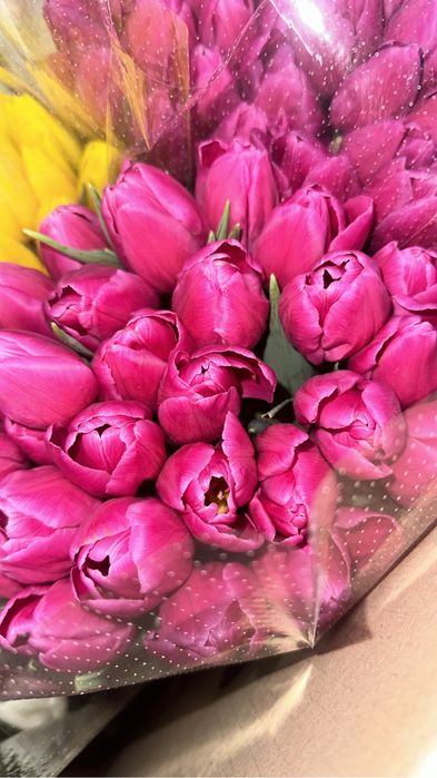 Тюльпаны оптом и в розницу