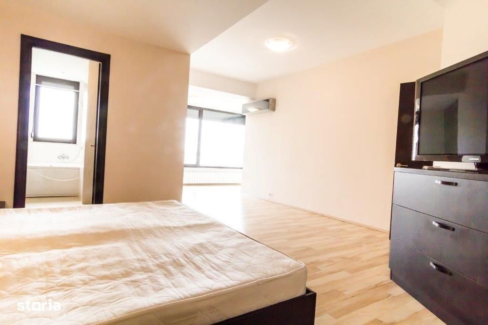 Triplex spectaculos cu 5 camere si terasa, in Herastrau!