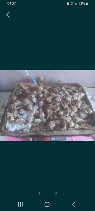 Еда для собак и кошкам