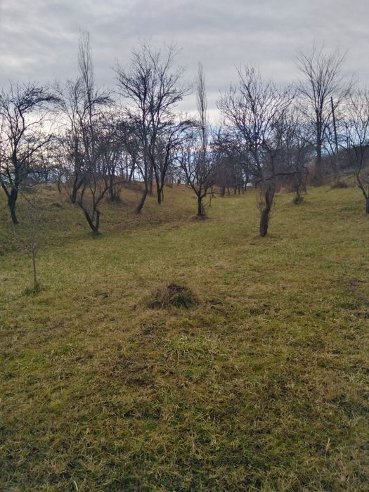 Teren de vanzare in comuna Poienari de Muscel