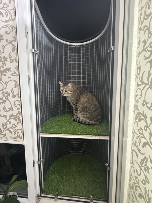 Балконы для питомца
