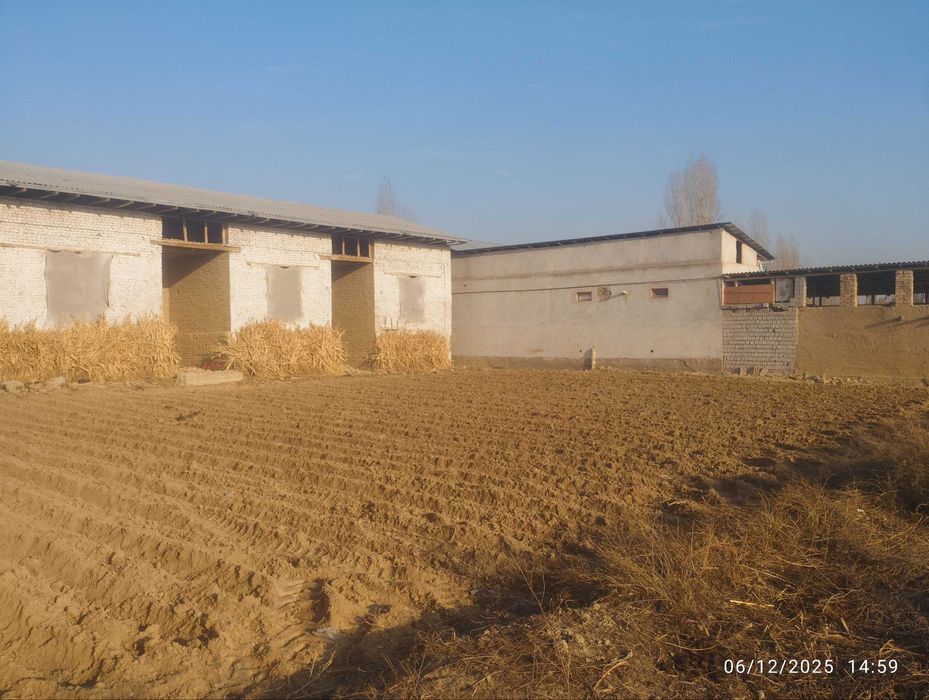 Яангиол тумани Коштепа махаласи 15 сотихли Уи сотилади