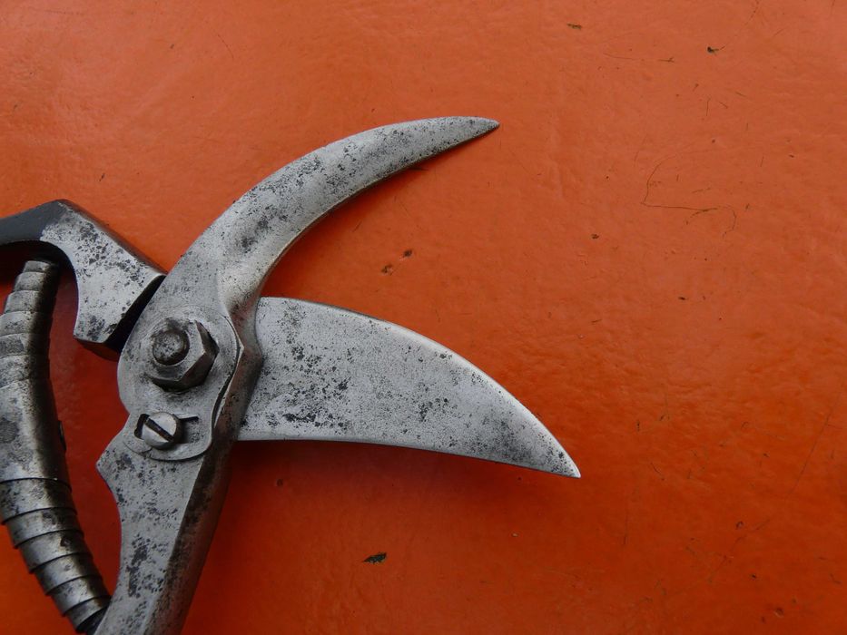 Лозарска ножица Solingen