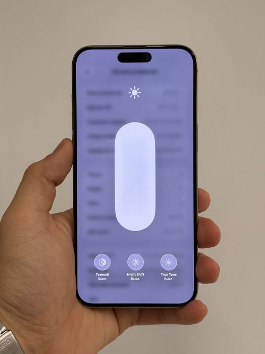 iPhone 15 Pro Max | 256 GB