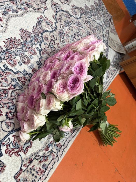 101 штук,необычная Роза,