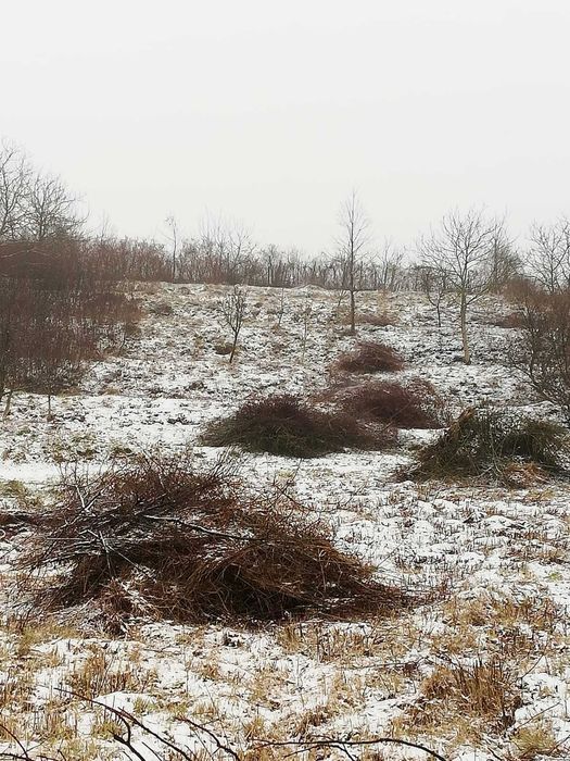 Vând teren Oradea str Gh Doja