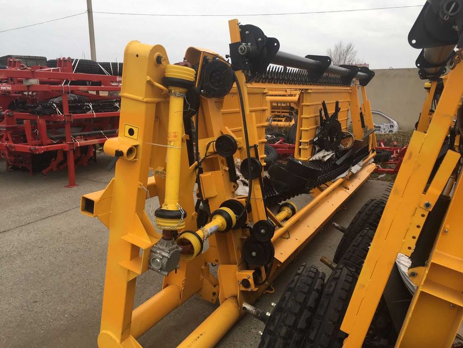 Sonic X бірінші секс