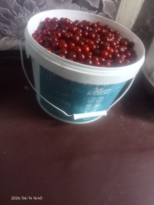 Вишня спелая на заказ