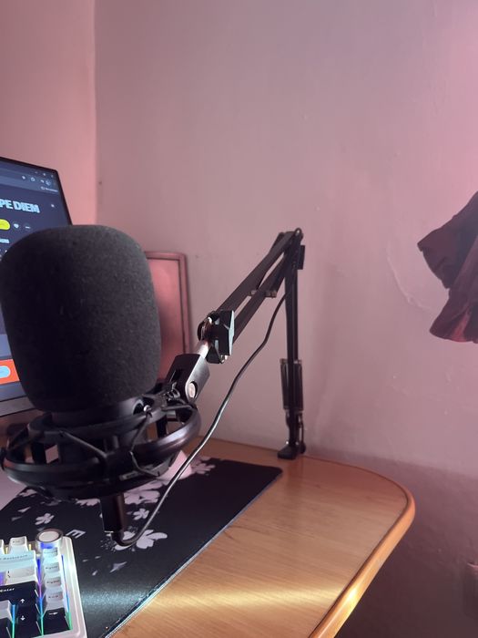 Продам набор Монитор,Кранштеин,Микрофон