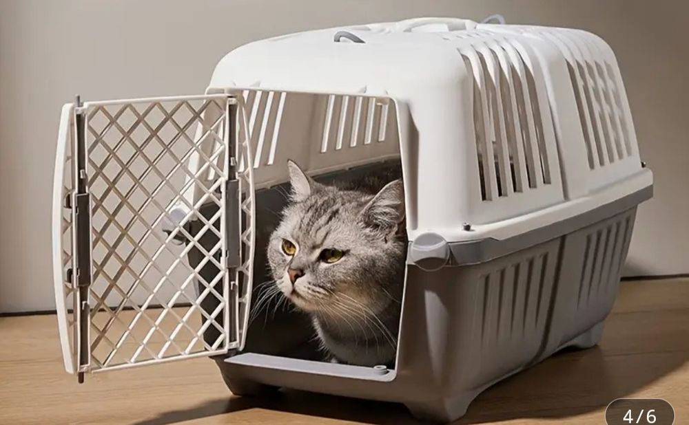 Продам переноску