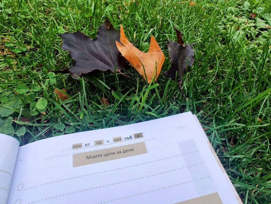 Планер "Сбъднати мечти"