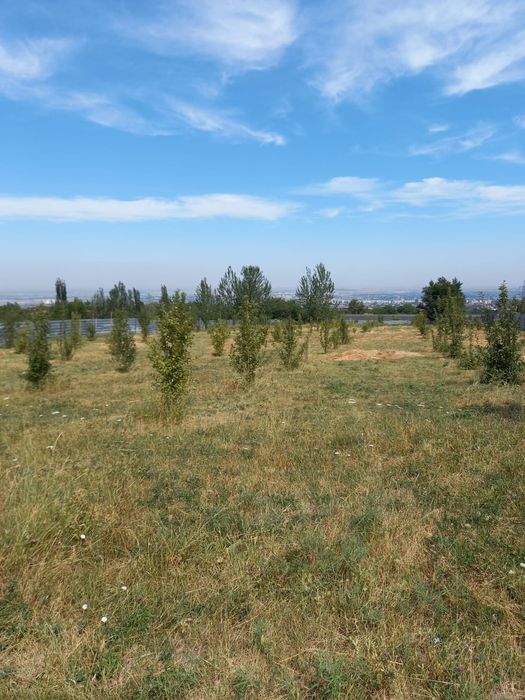 Продам участок 74 соток