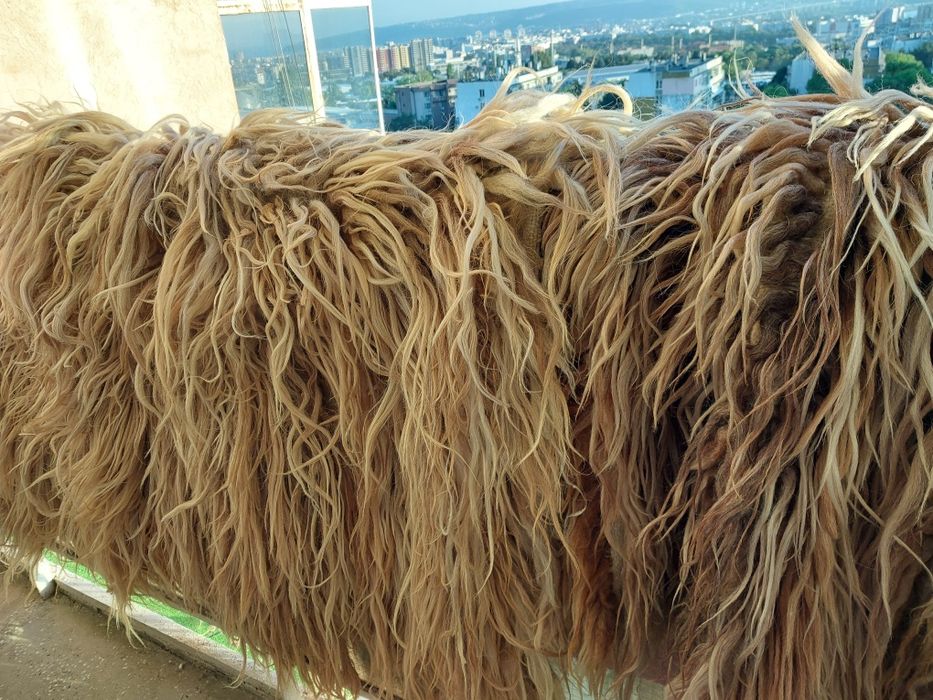 Халище,китеник от Родопите