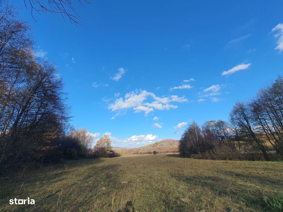 Teren Bran  – Tohanita zona de case pretabil investitii