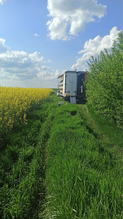 Miere de albine diverse sortimente
