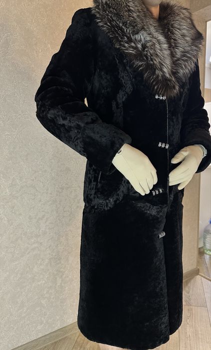 Шума цигейка/писец