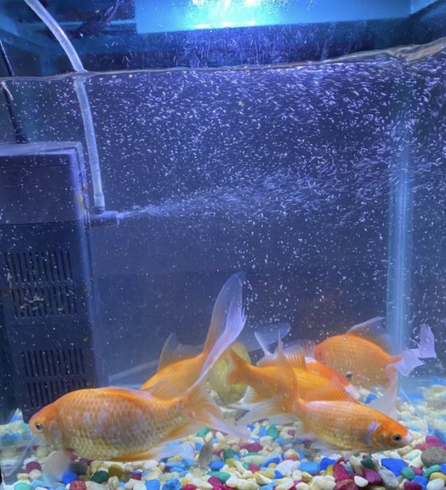 Продается новый аквариум