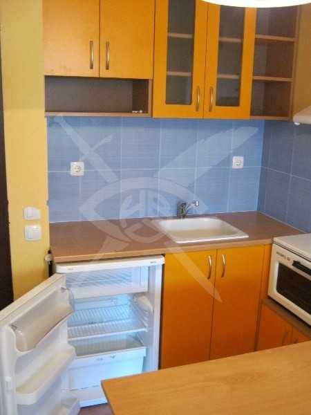 Дава се под наем Едностаен апартамент в Пловдив, Каменица 1 - 30 кв.м за 248.88 € - Снимка #1