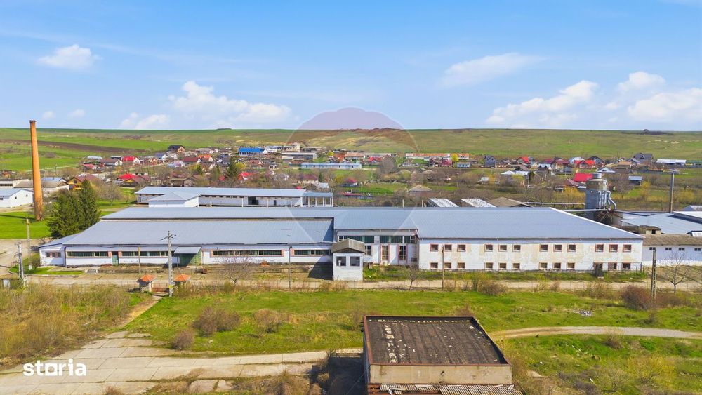 Teren Industrial / Hale de Vânzare 4.1 Ha - Zona industrială - Hârlău
