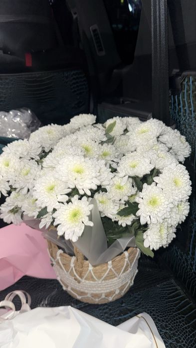 Голландские розы