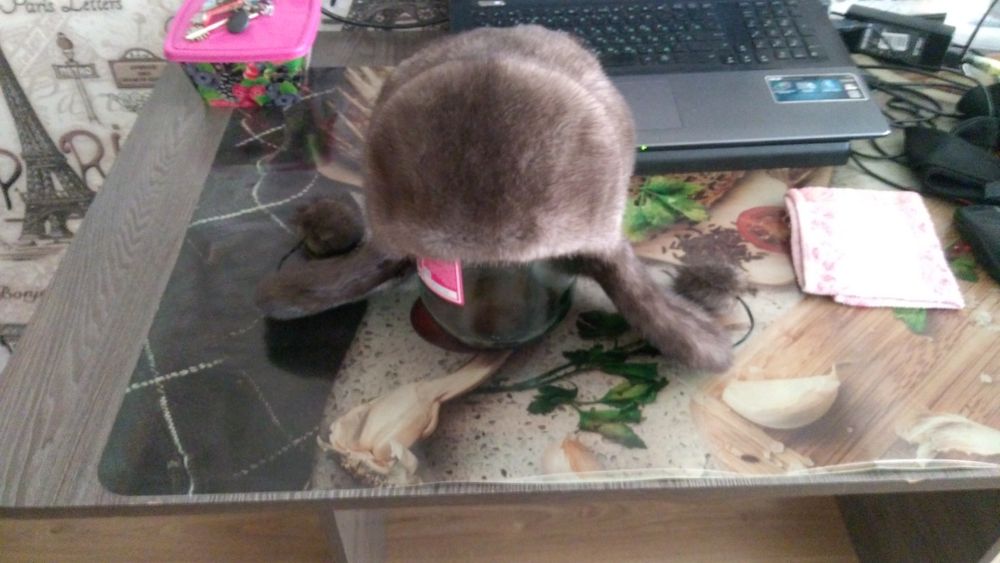 Корректор осанки продам