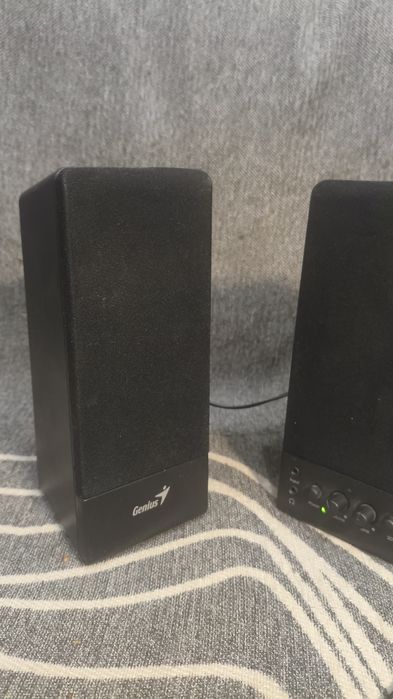 Колонки Genius SP-S110