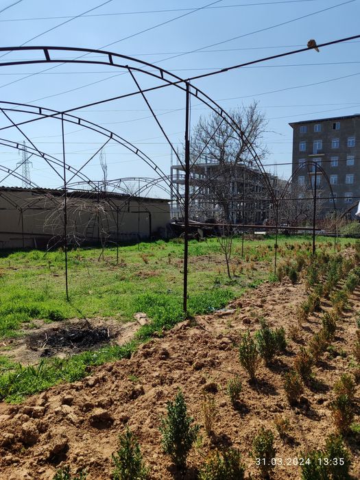 Ер сотилади 6 сотох