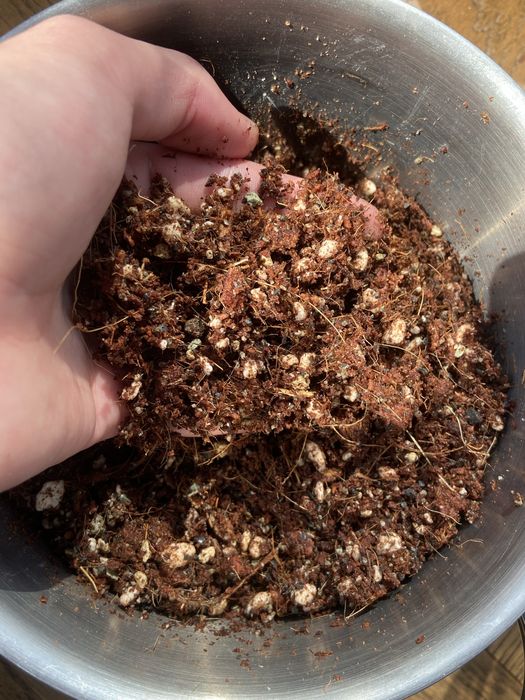 грунт/земля для ароидных растений