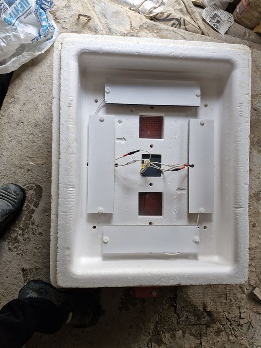 Продаётся на 104 яиц