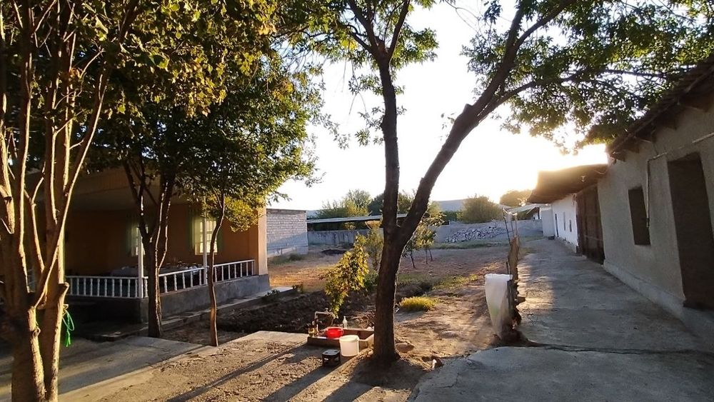 Uy Sotiladi Manzil Sirdaryo viloyati Boyovut tumani Anorzor MFY