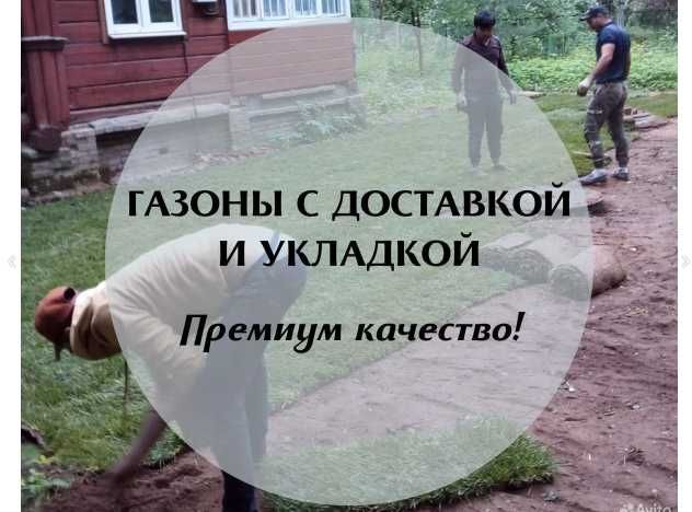 Качественный Рулонный газон с укладкой под ключ газонная трава Посев: 2 ...