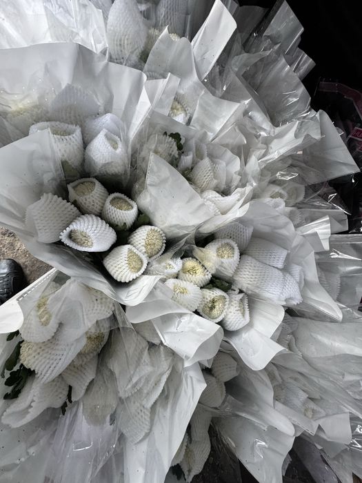 Трендовые момоко оптом и в розницу