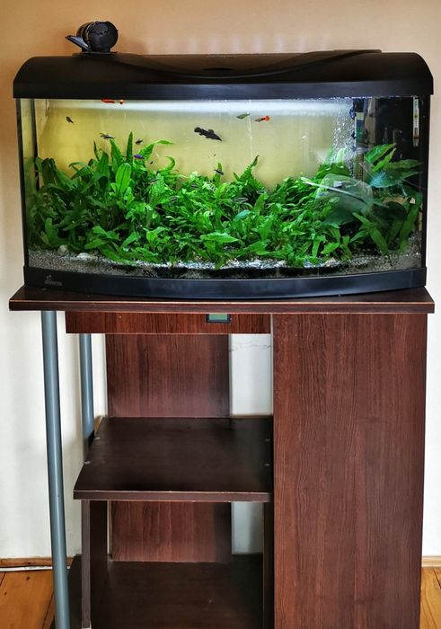 Acvariu complet plus stand